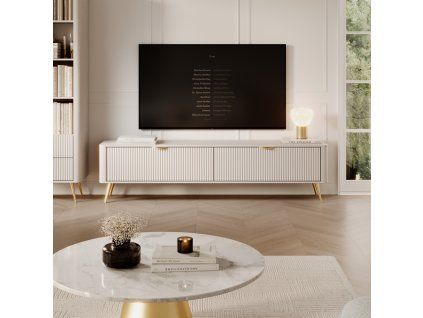rtv 200