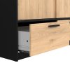 Skříň Lincoln 2D2S černý mat/jackson hickory