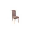 KASPIAN židle VKRM 2 dub sonoma (TX069)/ Amore 57 beige