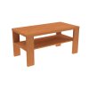 BRADOP Konferenční stůl ZBYNĚK 110x55 (Barevné provedení P - PŘÍRODNÍ)