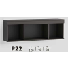 p22a