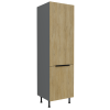 60 DK 210 2F Cremona ANT