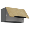 60 GU 36 1F Cremona ANT