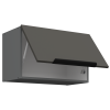 60 GU 36 1F ARIA GR ANT