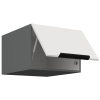 50 NAGU 36 1F ARIA WH ANT
