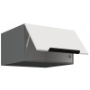 60 NAGU 36 1F ARIA WH ANT